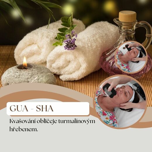 GUA - SHA.jpg
